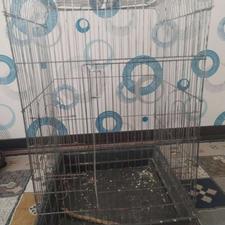 قفس پرنده با ظرف غذا