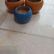 گلدان های مختلف