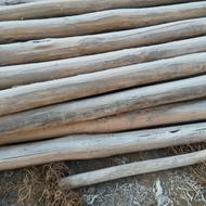 فروش چوب تمیز