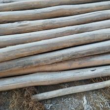 فروش چوب تمیز