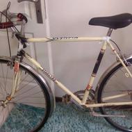 استارنورد اصل فرانسه سفید با سند کلکسیونی