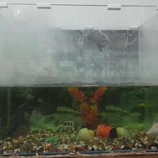 اکواریوم خمدار با درپوش سالم