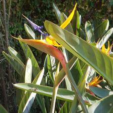 120متر ناپ لوکیشن دیدنی ( طلایی)