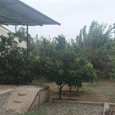 خونه باغ 287متر