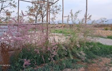 جای خلوت وبرکر