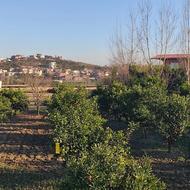 فروش زمین مسکونی 420 متر در جاده نظامی.دیزآباد