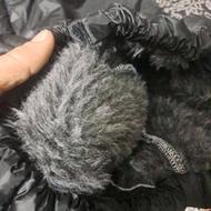 شلوار شمعی زد آب تو خز دار موتور سواری