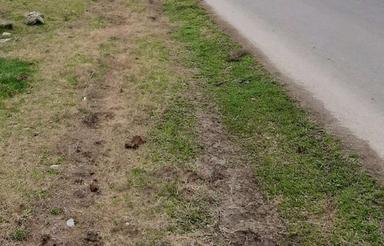 فروش زمین کشاورزی 10000 متر در خیابان آرا