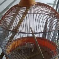 تعدادی لوازم داخل قفس وقفس