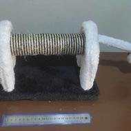 اسکرچر کوچک گربه