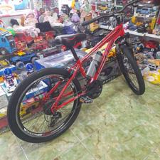 دوچرخه 24 حرفه‌ای