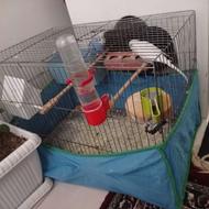 دو مرغ عشق با قفس