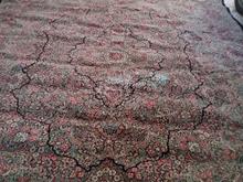 فرش دوازده متری ماشینی در شیپور