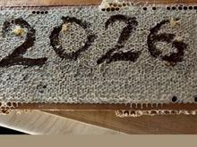 عسل فوق ممتاز درجه 1 در شیپور