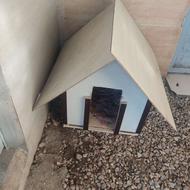 لانه لونه سگ گربه پاکوتا