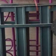 تخت تک نفره