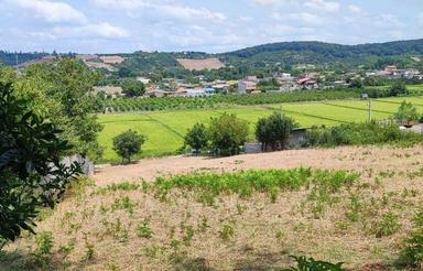 فروش زمین 3060 متر در اسپورز