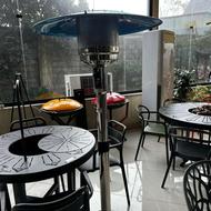 هیتر قارچی شهری