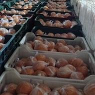 پرتقال تامسون انباری نایلون پیچ