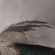 درب کاپوت 206 ورادیاتور