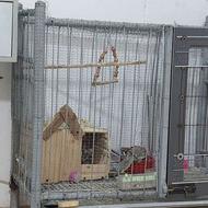 قفس آهنی پرنده