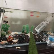 اکواریوم ماهی کامل