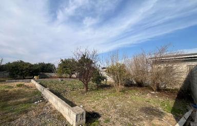 فروش زمین مسکونی 211 متر در مرکز شهر