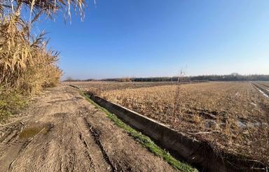 فروش زمین کشاورزی 2000 متر طرح ژاپن