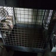 قفس خروس لاری دوطبقه