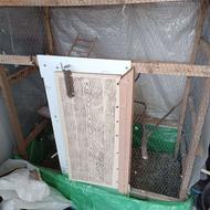 فروش قفس سایزبزرگ