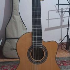 گیتار فوق حرفه ای آریا