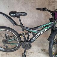 دوچرخه در حد نوع