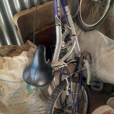 دوچرخه بچگانه