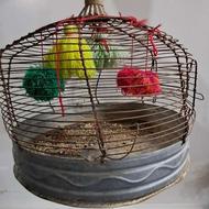 قفس سهره قناری