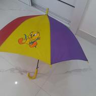 چترسالم و تمیز