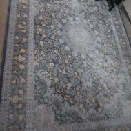 یک عدد فرش6متری 1500شانه4500تراکم طلاکوب