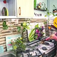 نظافت منزل انجام میشود