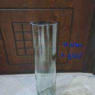 شیشه مناسب گیاه بامبو