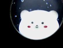 گربه نورانی در شیپور