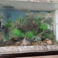 فروش آکواریوم