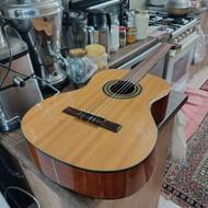 گیتار بیس فان