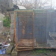 قفس پرنده بزرگ