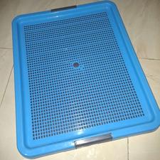 سینی ادرار سگ