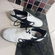 کفش تکواندو