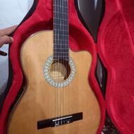 گیتار حرفه ایی سولارس