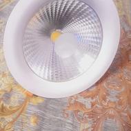 پژوکتور سقفی سالم