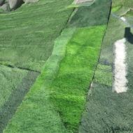 چمن مصنوعی دست دوم ونو