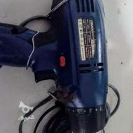 دلرپیچ گوشتی