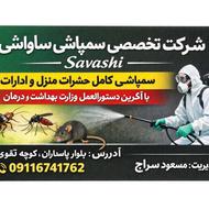 سم پاشی سوسک و حشرات منزل تخصصی تضمینی