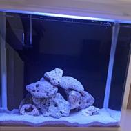 اکواریوم شیشه خم سمپ جدا